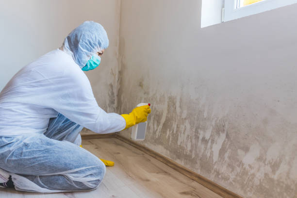 Crawl Space Mold Remediation treatment of floor joists in New Germany